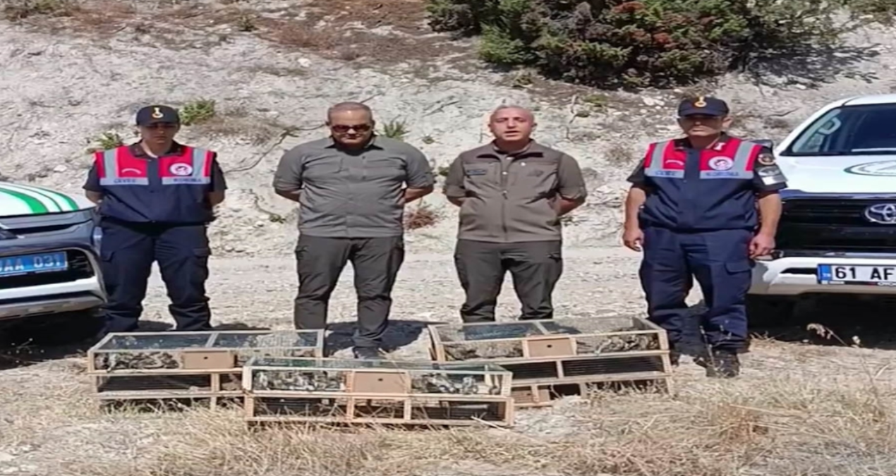 kutahyada yakalanan 142 saka kusu dogaya salindi nOGwiud4