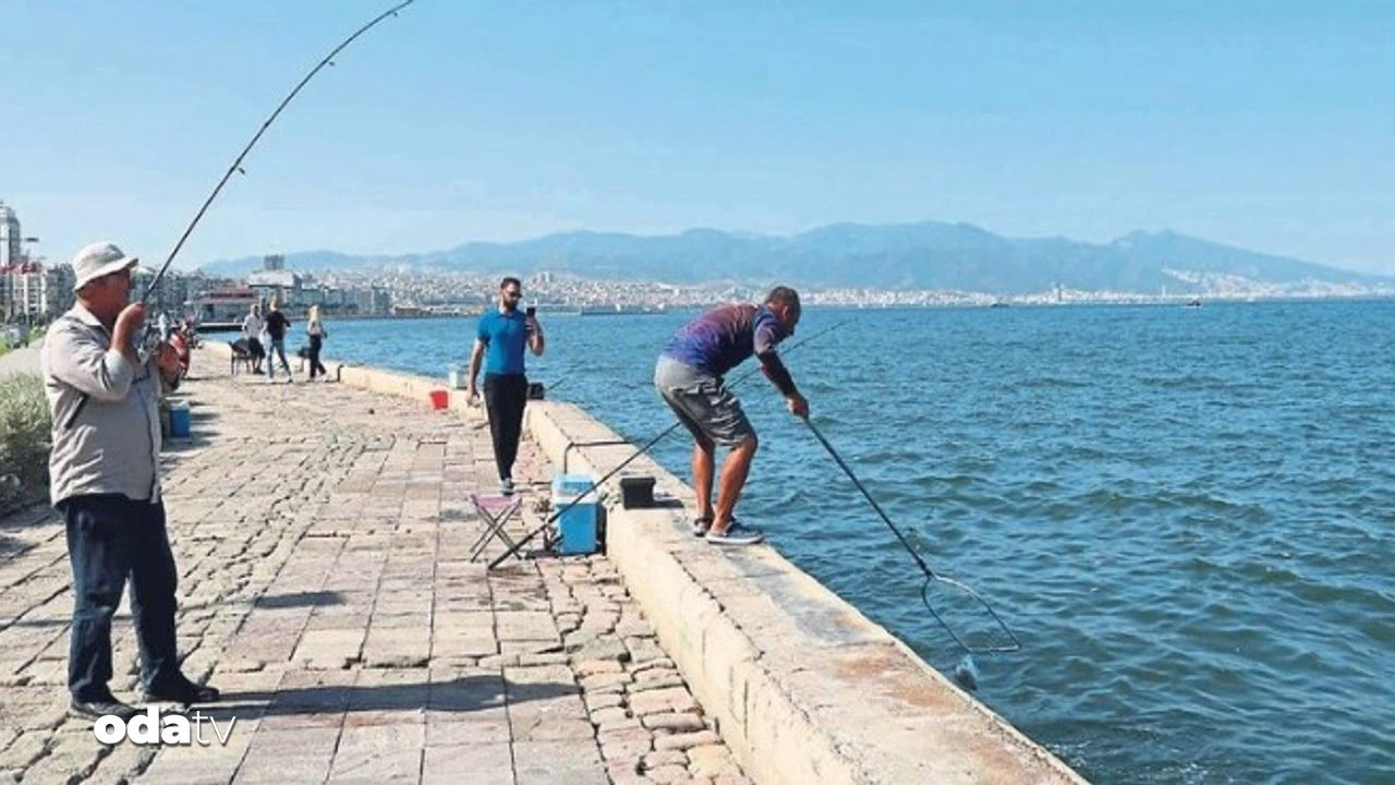İzmir’de korkunç olay: Oltaya insan kafası takıldı