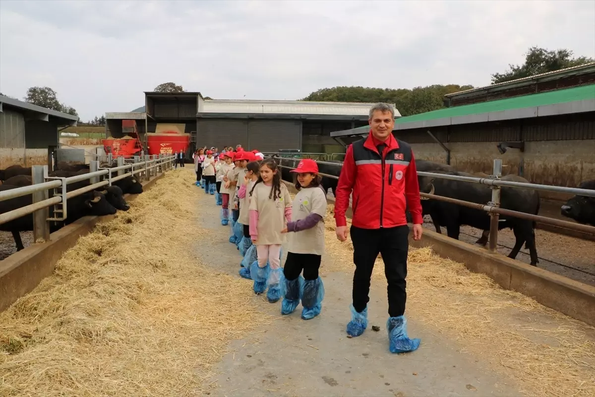 Kocaeli’de Öğrenciler Tarım Kampına Katıldı