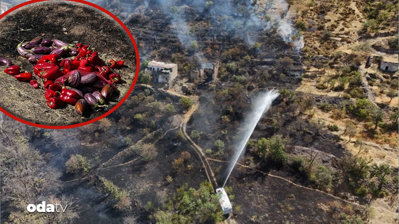 Patlıcan közlerken orman yangını çıkardılar