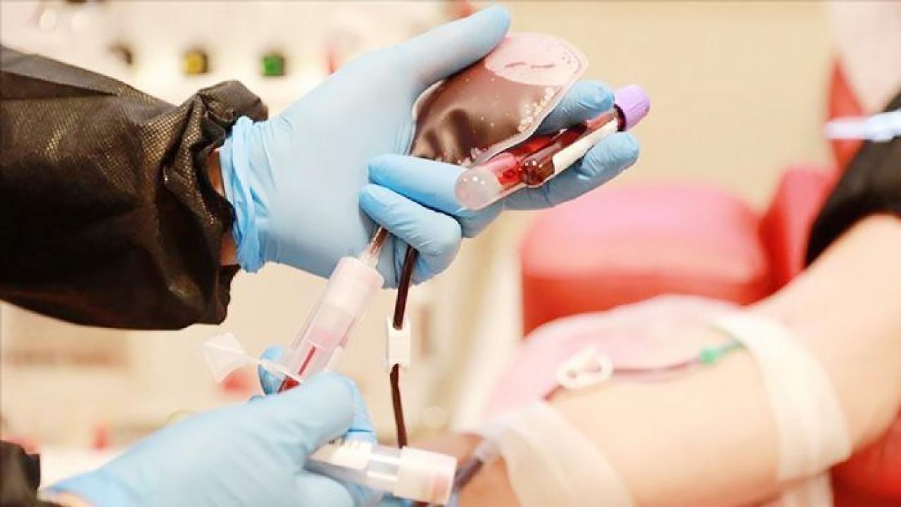 Bir bağış, bir hayat… Kök hücre bağışıyla hayat yeniden başlıyor!