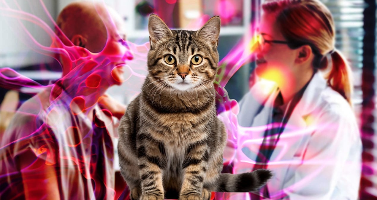 Kanser tarihe mi karışıyor? Mucizevi çözüm kedilerde kullanılan parazit ilacında mı gizli?