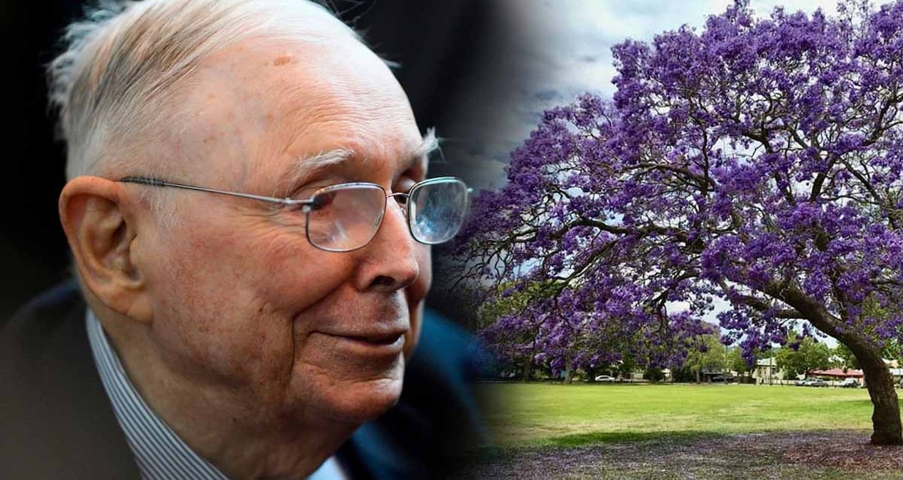 Milyarder Charlie Munger, ‘yatırımınızı üç katına çıkarmak istiyorsanız evinize ağaç dikin’ diyor! İşte nedeni