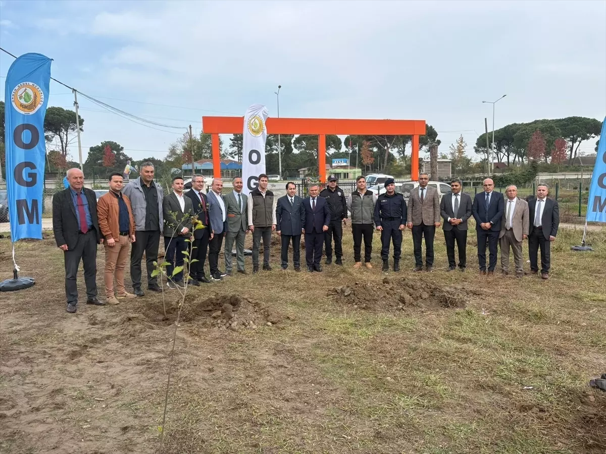 Samsun’da Ağaçlandırma Etkinliği