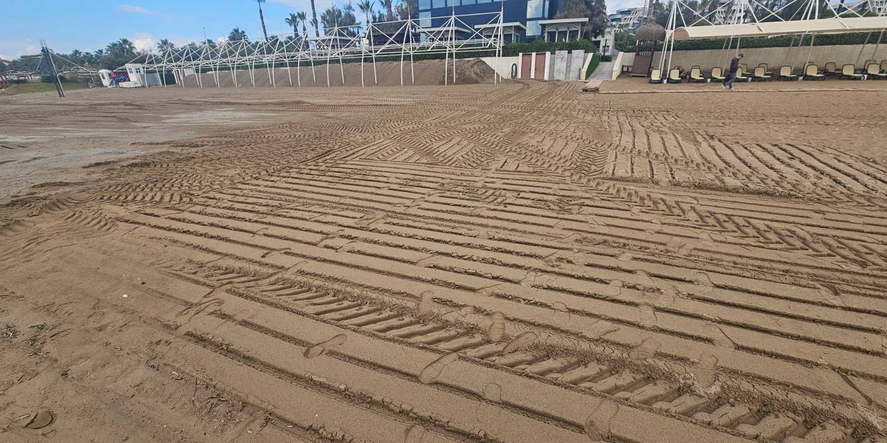 Belek sahillerinde caretta caretta alanı iş makinesiyle ezildi