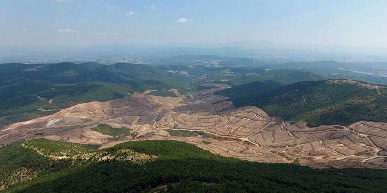 Kazdağlarını dümdüz edip yılın çevrecisi seçildi: Böylesi ancak Türkiye’de olur